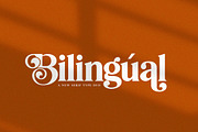 Bilingual Serif Font Duo