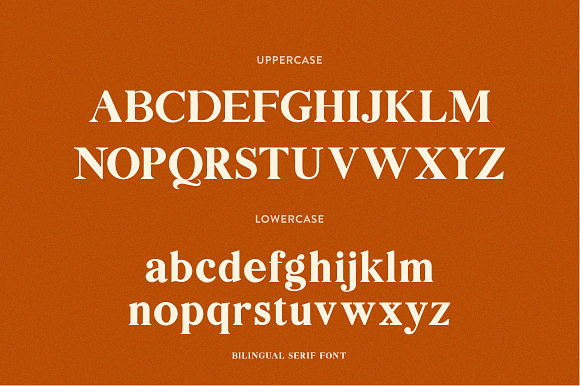 Bilingual Serif Font Duo in Serif Fonts - product preview 7