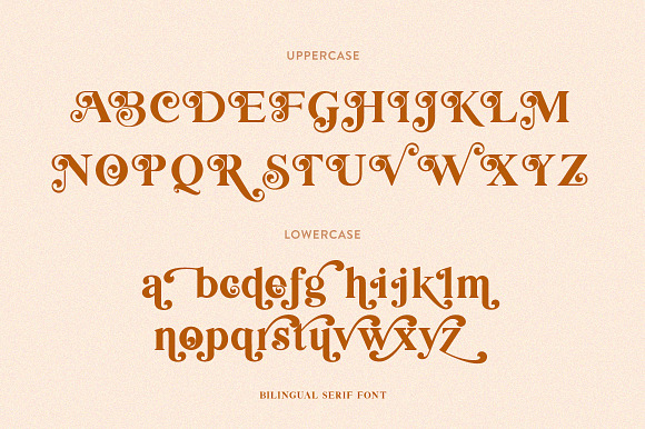 Bilingual Serif Font Duo in Serif Fonts - product preview 8