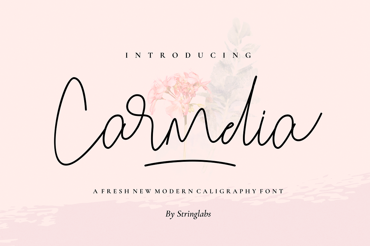 Carmelia - Modern Calligraphy Font in Script Fonts - product preview 8