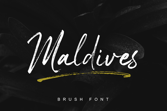 Maldives Handbrush Font in Script Fonts - product preview 10