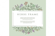 Drawing botanical herbs text frame