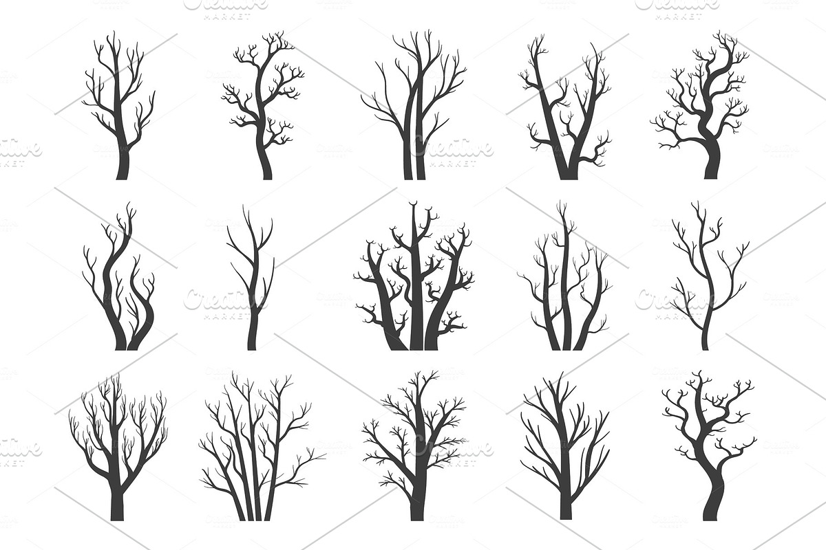 Winter dry trees in Illustrations - product preview 8