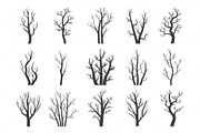 Winter dry trees