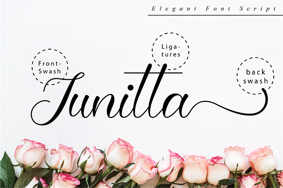 Junitta Script in Script Fonts - product preview 9