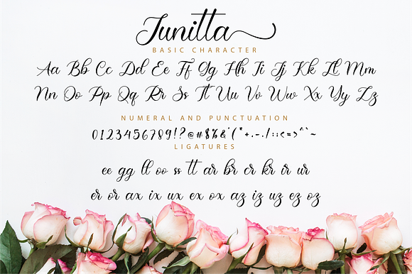 Junitta Script in Script Fonts - product preview 10