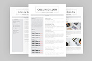 Collin Graphic Resume Designer
