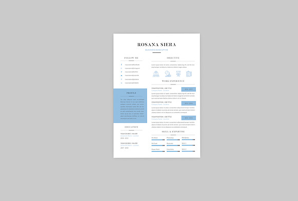 Rosana Business Resume Designer in Resume Templates - product preview 2