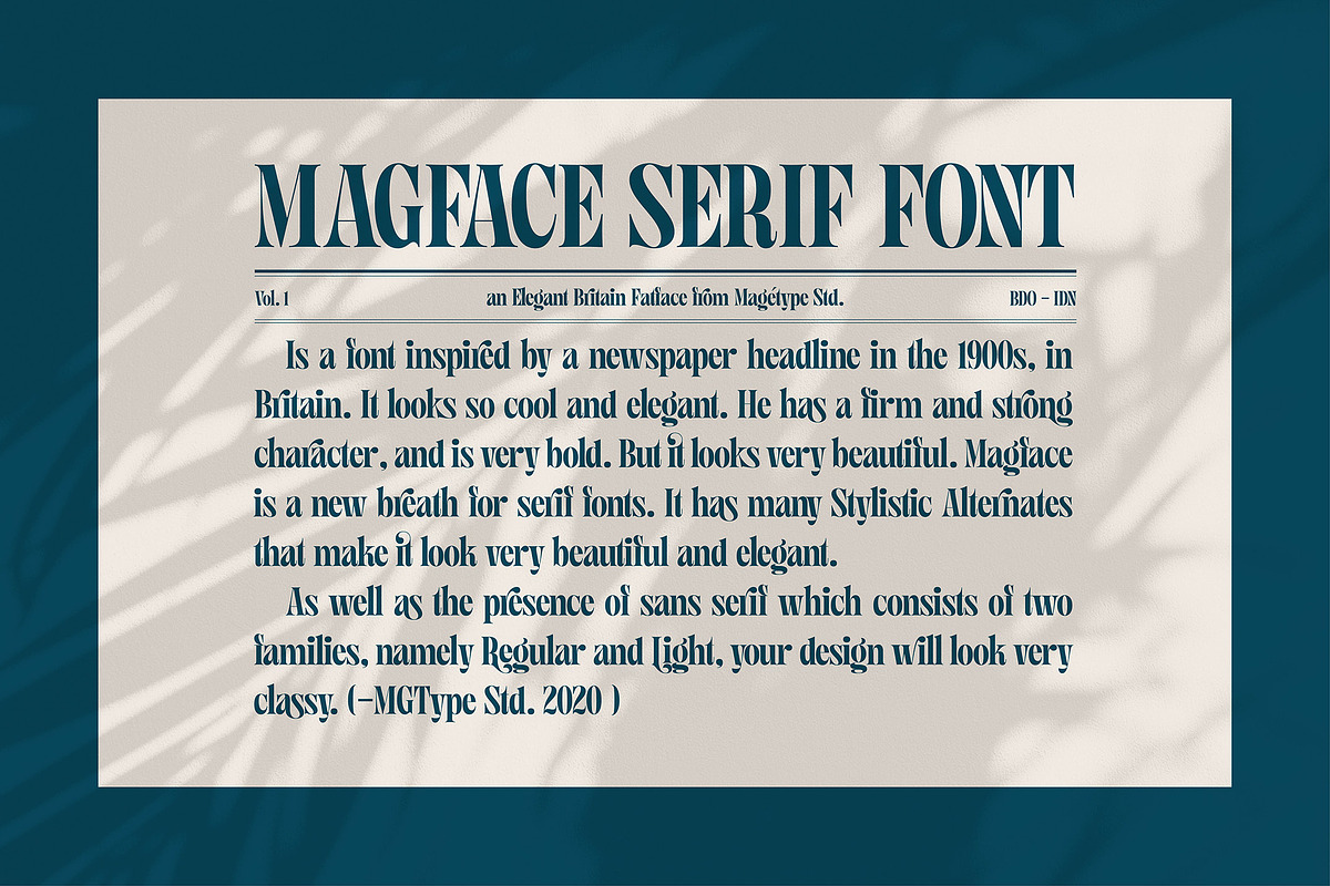 Magface in Serif Fonts - product preview 8
