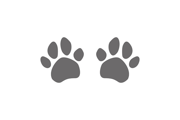 Dog footprints. Animal footprints