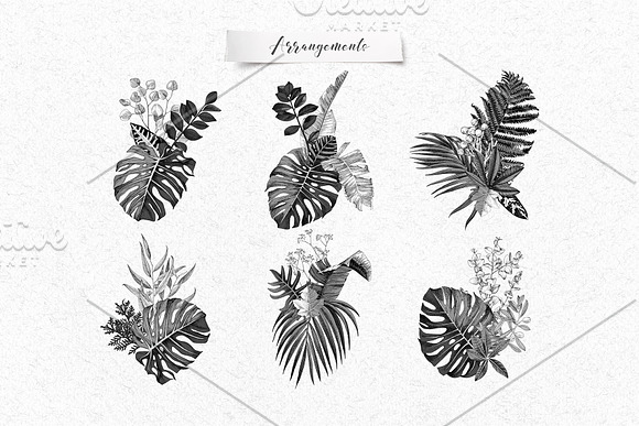 Tropical gold in Illustrations - product preview 11