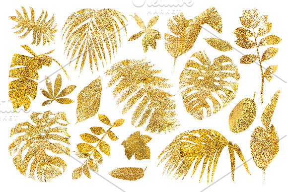 Tropical gold in Illustrations - product preview 14