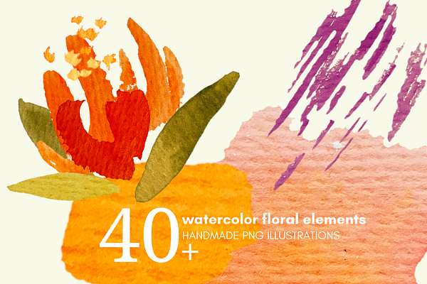 watercolor png illustration pack