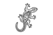 Lizard jewelry sketch vector