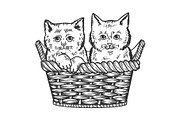 Kittens in basket sketch vector