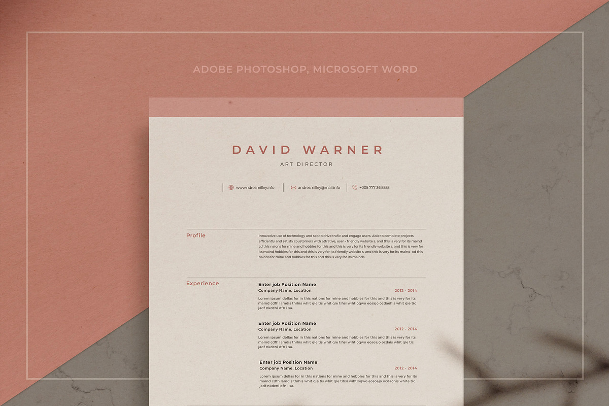 Resume/CV - David in Resume Templates - product preview 8