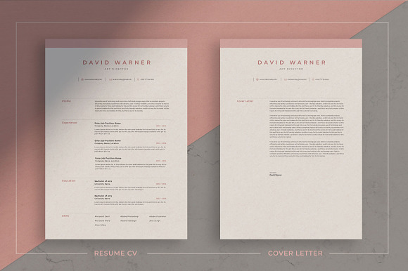 Resume/CV - David in Resume Templates - product preview 1