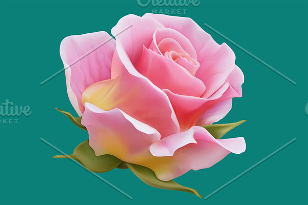Roses, vectors set. Romantic symbol
