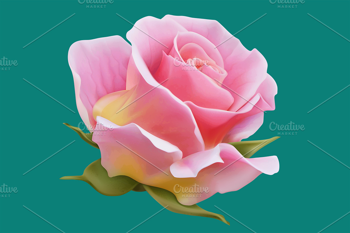 Roses, vectors set. Romantic symbol in Icons - product preview 8