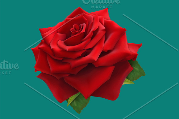 Roses, vectors set. Romantic symbol in Icons - product preview 1