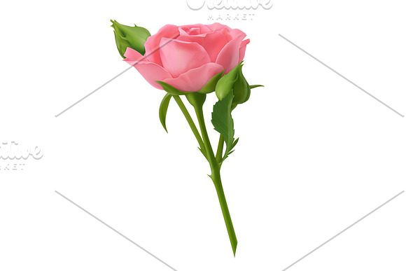 Roses, vectors set. Romantic symbol in Icons - product preview 2