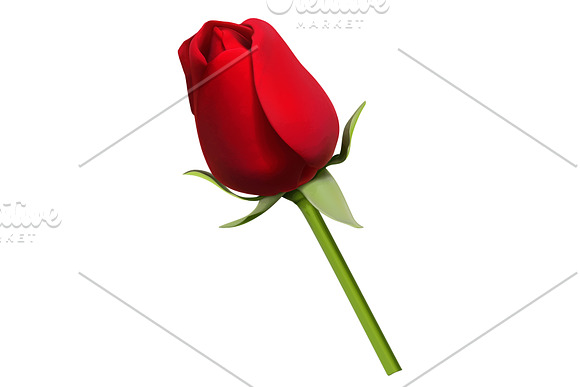 Roses, vectors set. Romantic symbol in Icons - product preview 3