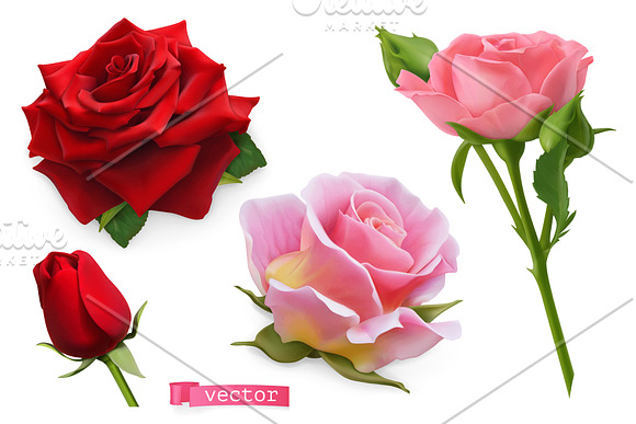 Roses, vectors set. Romantic symbol in Icons - product preview 4