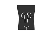 Healthy kidneys glyph icon