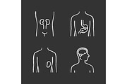 Healthy human organs chalk icons set