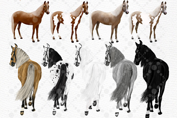 Watercolor Horse clipart in Illustrations - product preview 3