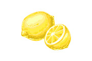 Illustration of ripe lemon and slice