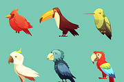 Exotic tropical birds cartoon icons