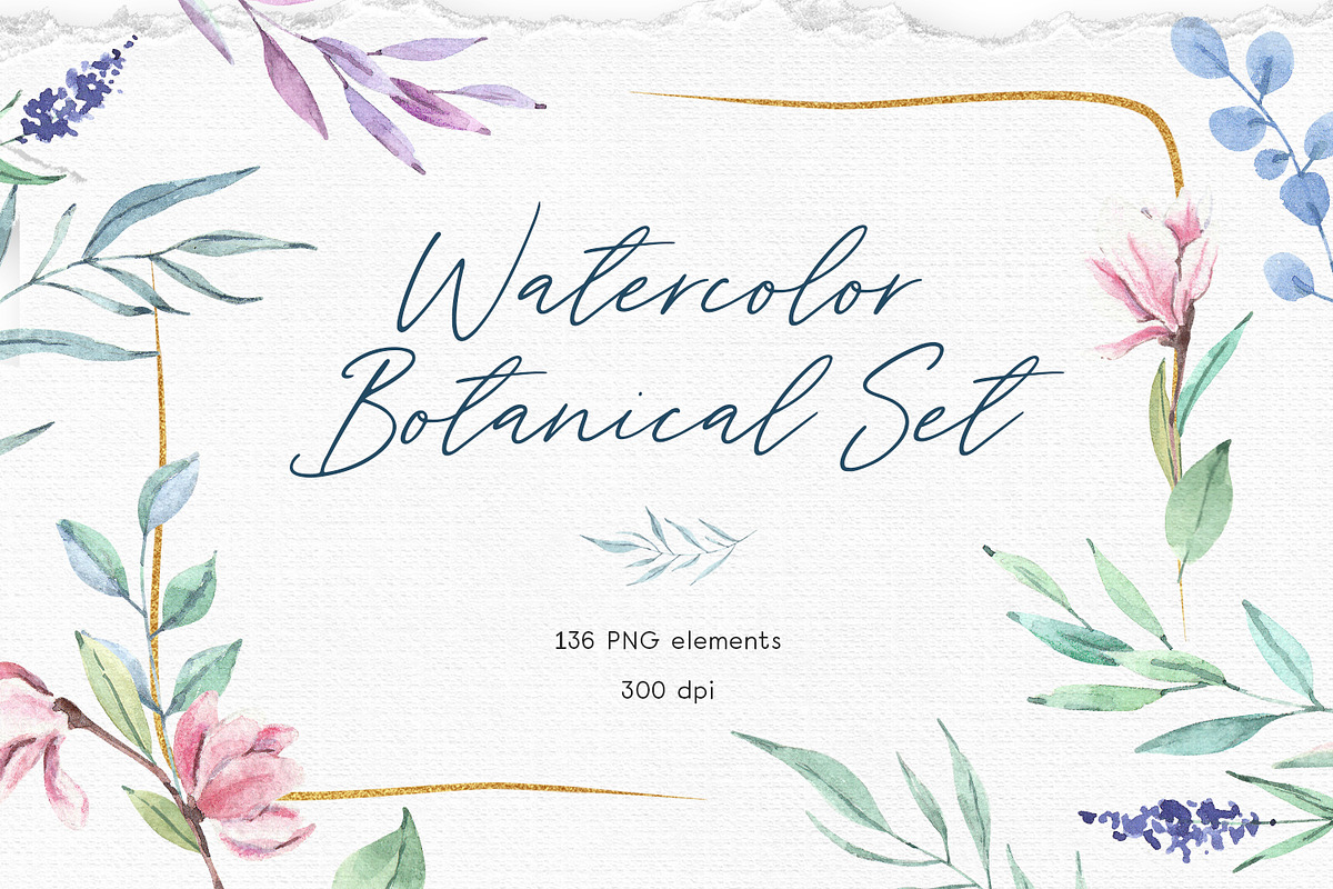 Watercolor Botanical Set in Illustrations - product preview 8