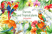 Parrots and tropical plants
