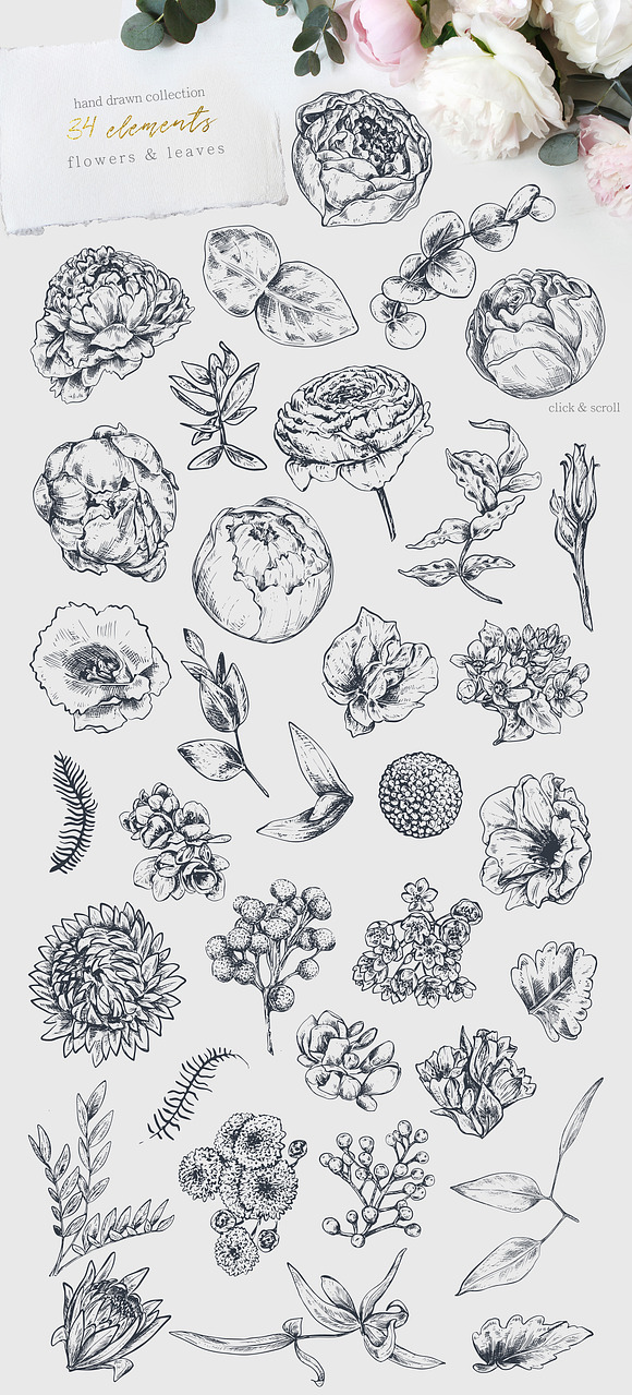 Vector wedding floral collection in Illustrations - product preview 12