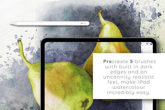EVERYTHING WATERCOLOUR for Procreate in Add-Ons - product preview 18
