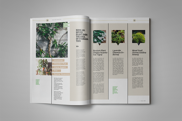 Theplant | Magazine Template in Magazine Templates - product preview 7