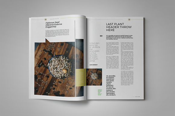 Theplant | Magazine Template in Magazine Templates - product preview 10