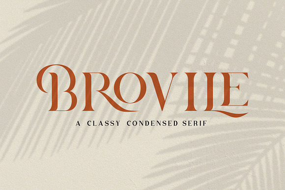 Brovile. A Classy Serif in Serif Fonts - product preview 11