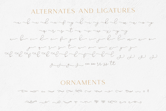 Gamour - Elegant Serif Font + Bonus in Serif Fonts - product preview 7