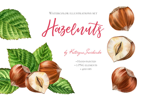 Hazelnuts Watercolor Set