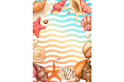 Frame with seashells. Tropical