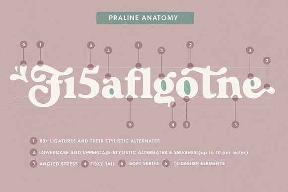 Praline Font Family in Serif Fonts - product preview 14