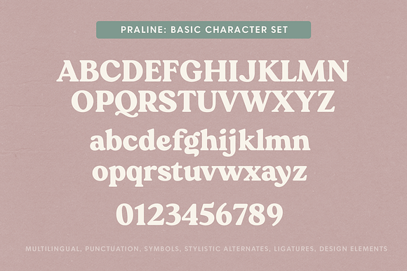 Praline Font Family in Serif Fonts - product preview 15