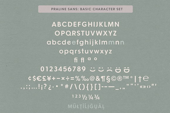 Praline Font Family in Serif Fonts - product preview 21