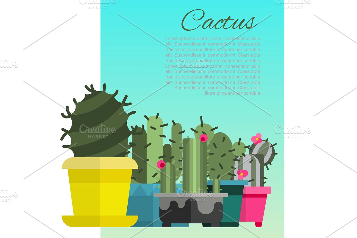 Home cactus garden poster, vector in Illustrations - product preview 8