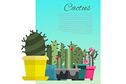 Home cactus garden poster, vector