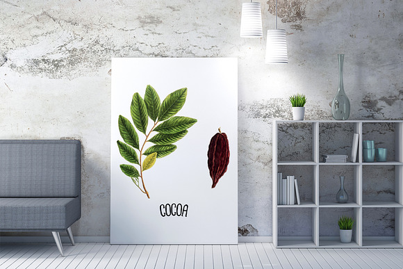 Medicinal Herb Collection 5 in Illustrations - product preview 6