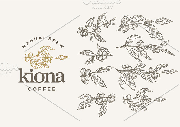 High Quality Coffee Branch and Label in Logo Templates - product preview 4