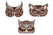 Wise old owl heads